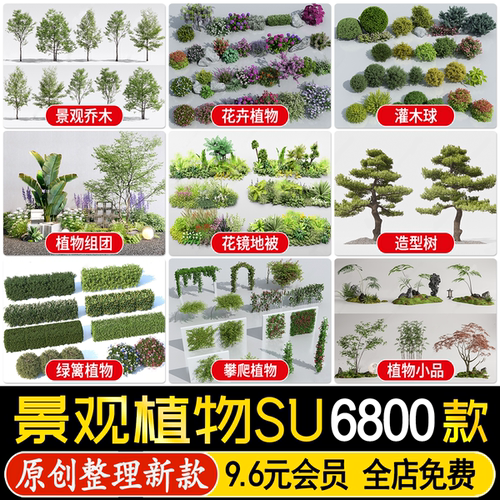 园林景观庭院植物花草树木绿篱乔木花卉灌木丛地被草图大师SU模型