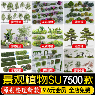 园林景观庭院植物花草树木绿篱乔木花卉灌木丛地被草图大师SU模型