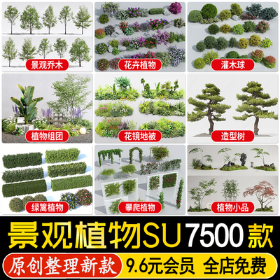园林景观庭院植物花草树木绿篱乔木花卉灌木丛地被草图大师SU模型