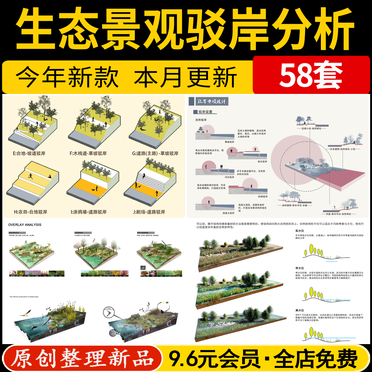 生态景观湿地园林植物修复滨水驳岸横断面模块PS分析图PSD素材