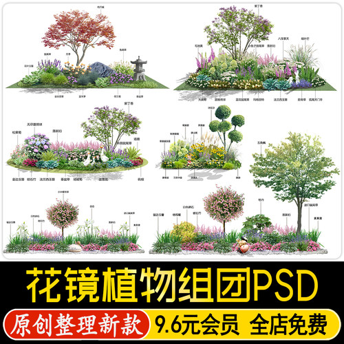 公园庭院花园花镜花境植物组团ps效果图花海花草组合psd分层素材