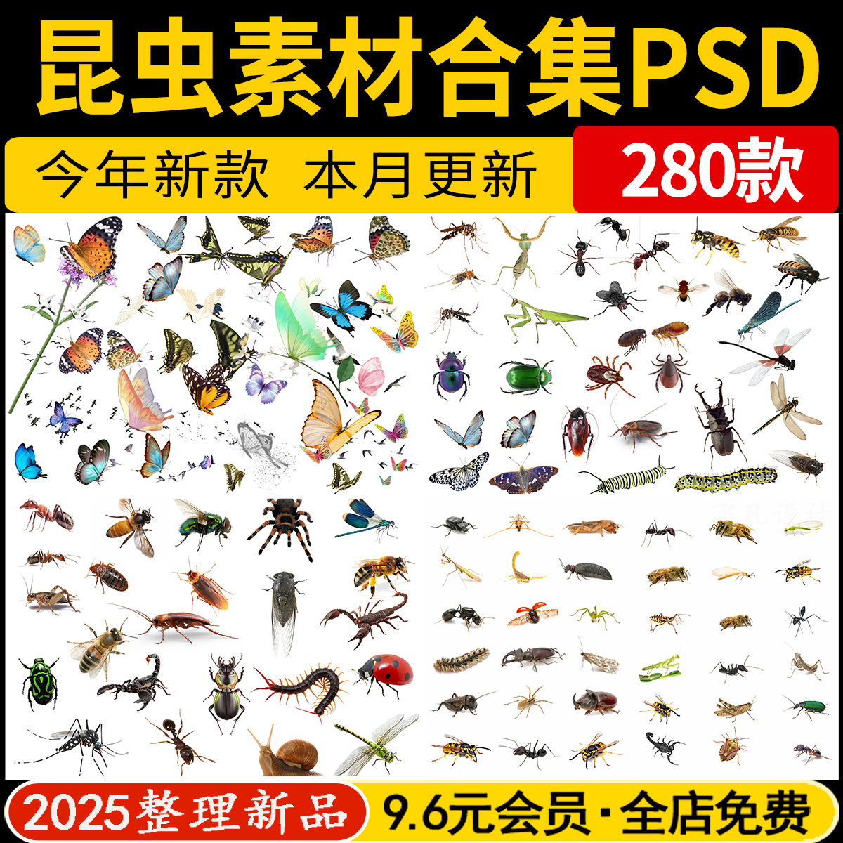 昆虫蝴蝶爬行类动物鸟类PS素材蜜蜂蜈蚣蟋蟀蚂蚁蚂蚱PSD免抠分层