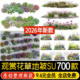 三维花草地被园林花境植物草坪花镜草花草丛观赏草su模型草图大师