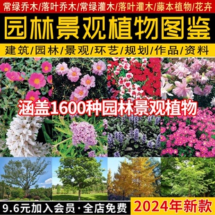 常用园林景观植物图鉴介绍乔木灌木地被花卉分类应用手册PDF模板