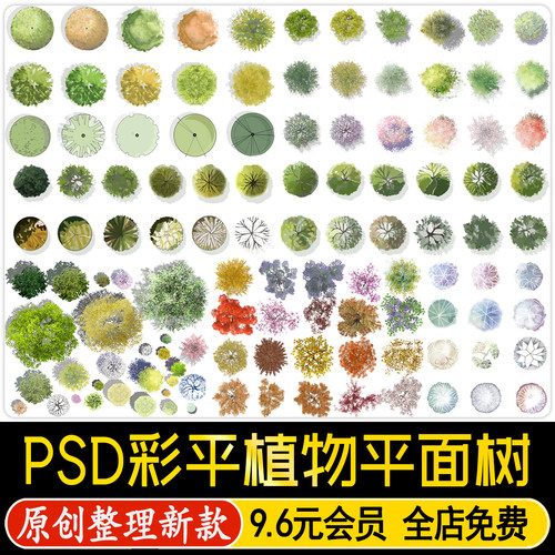 园林景观小清新竞赛风ps彩平图植物平面树木草坪花卉psd分层素材