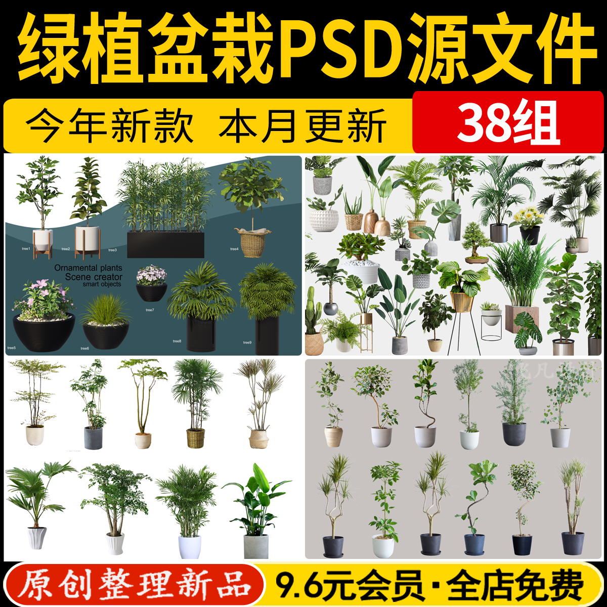室内盆栽绿植花盆植物组合ps效果图现代简约客厅摆件psd免抠素材