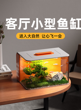 桌面小鱼缸客厅小型一体免换水2025新款生态缸懒人家用造景水族箱