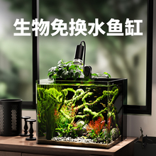 背滤鱼缸玻璃小型生态一体式背过滤自循环免换水懒人客厅2025新款