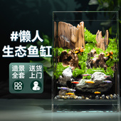 小鱼缸客厅2025新款 生态造景全套小型斗鱼超白桌面雨林水陆玻璃缸