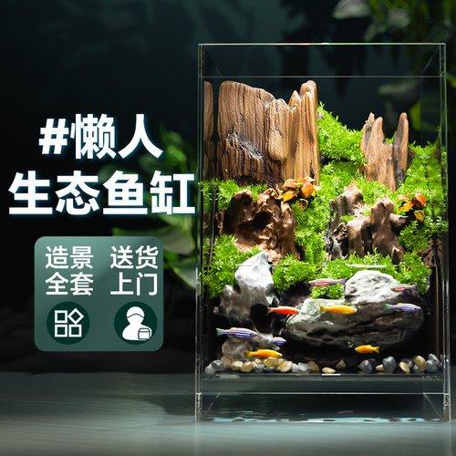 小鱼缸客厅2025新款生态造景全套小型斗鱼超白桌面雨林水陆玻璃缸