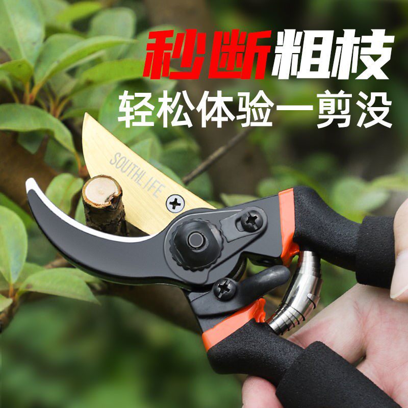德国进口剪刀园林修枝剪能花果树枝修剪园艺剪刀手工专用摘果神器