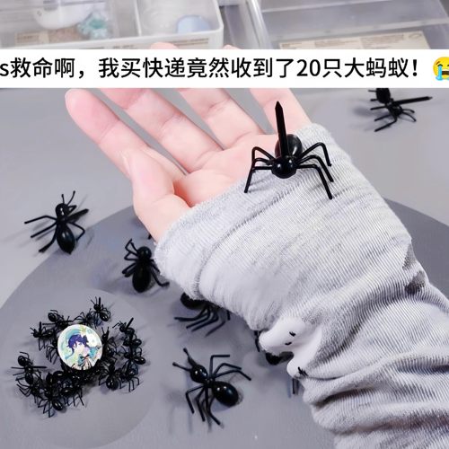 蚂蚁水果叉谷美展示架拍照道具