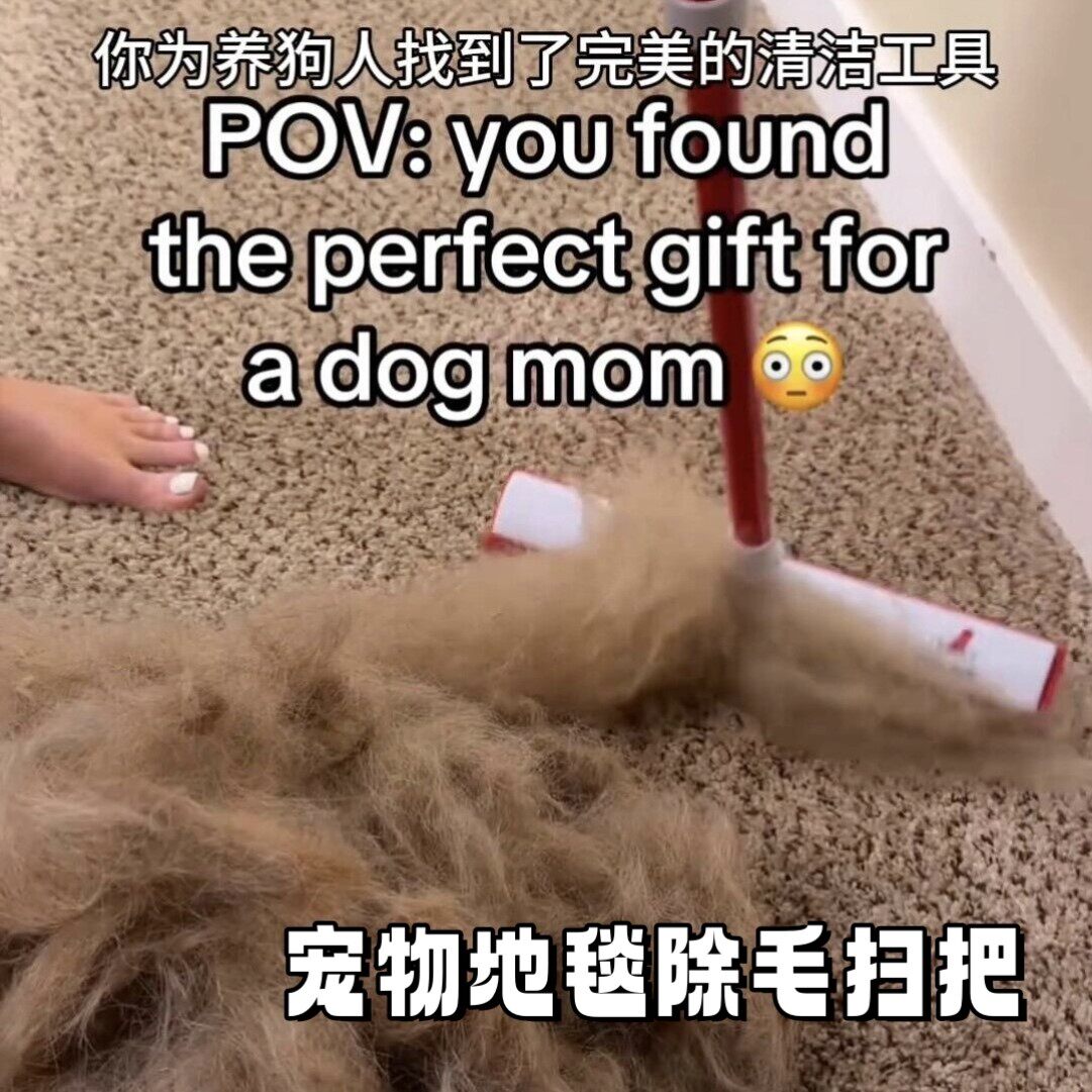 宠物地毯除毛免手洗扫把