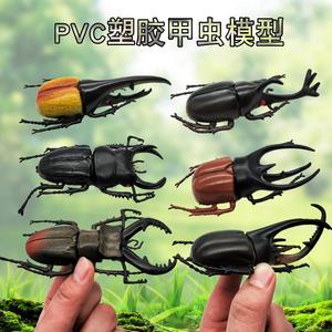 仿真甲虫模型大号昆虫标本玩具独角仙大兜虫早教认知动物儿童礼物