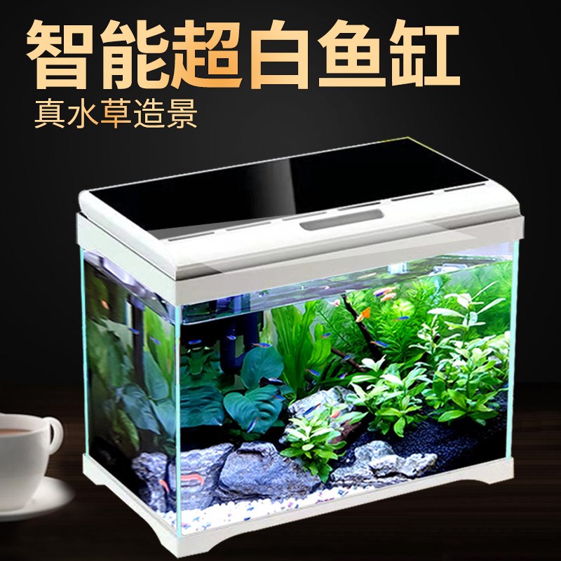 免换水生态鱼缸客厅超白玻璃桌面小型热带懒人智能家用水族箱