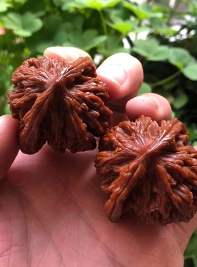 核桃文玩四座楼狮子头把