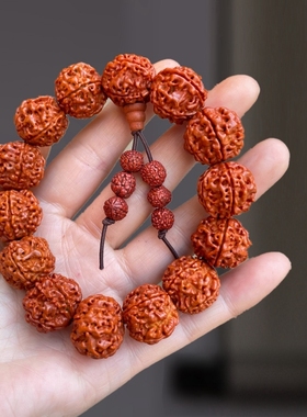 核桃男树王树王小金刚