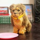 包邮 动物模型仿真狗藏獒仿真猫塑料皮毛摄影道具玩具舞台装 饰摆件