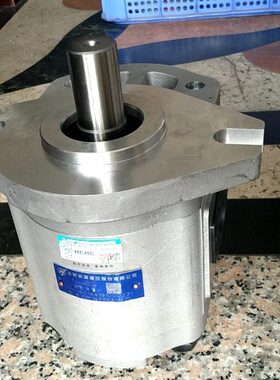 合肥长源液压股份有限公司 齿轮油泵 CBF9-F663-AFPL 品质保证