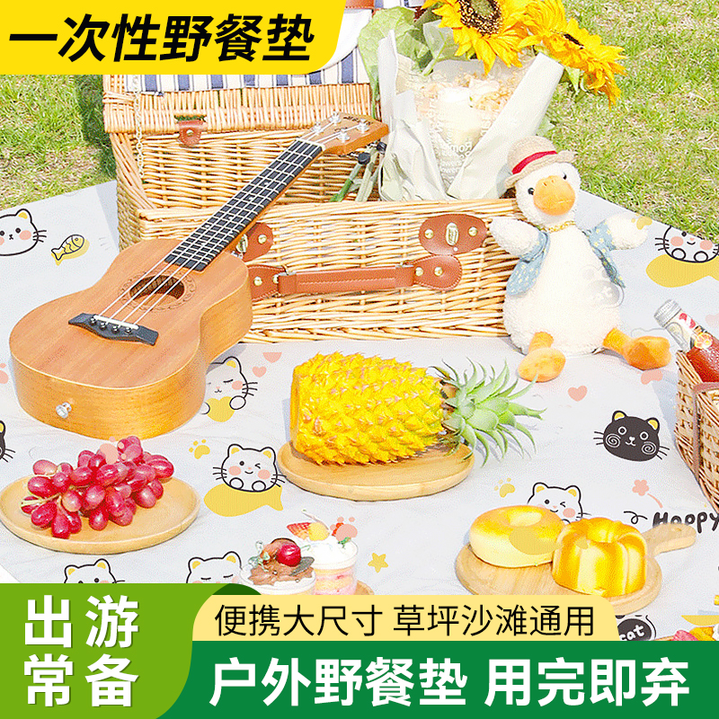一次性野餐垫防潮防水便携式加厚垫子户外春游露营地垫沙滩野餐布