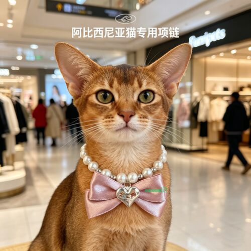 阿西比尼亚猫专用配饰项圈猫咪珍珠脖圈项链小猫戴的宝石吊坠饰品