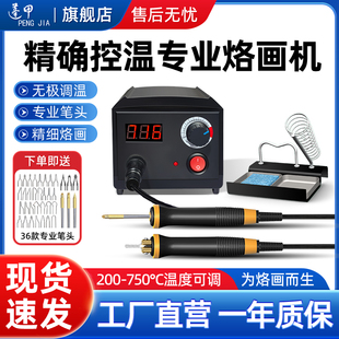 蓬甲专业可调温烙画机烙画工具葫芦木板烫画机器烙画笔电烙烫画笔