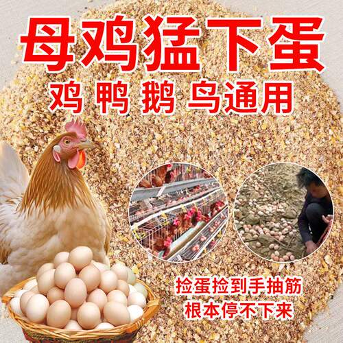 产蛋鸡饲料母鸡鸭鹅下蛋