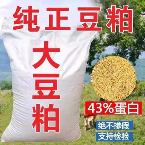 中粮膨化豆粕豆饼43蛋白