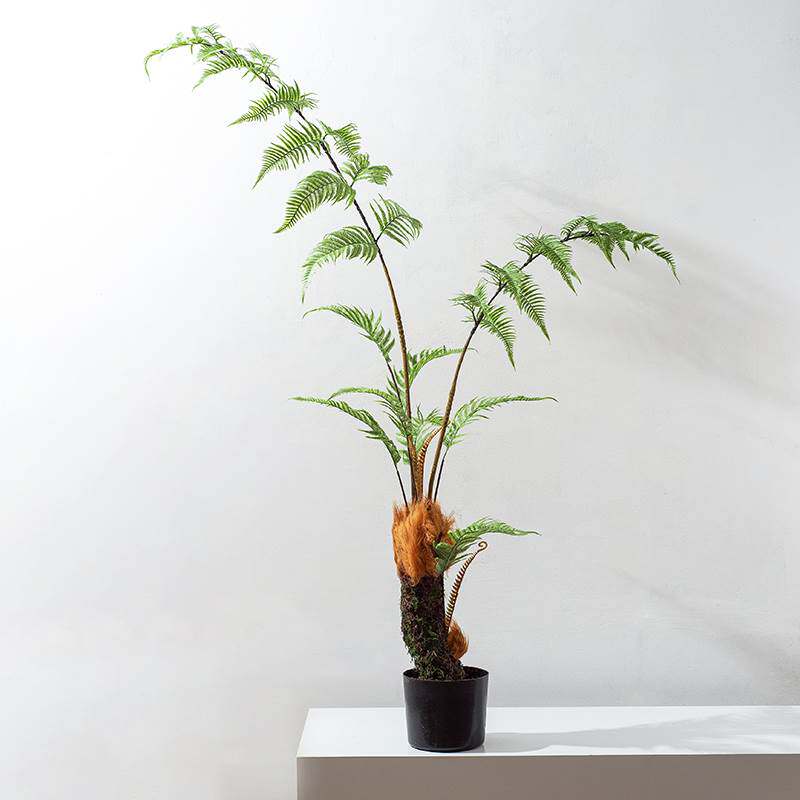 中式仿真金丝猴蕨落地盆景金毛蕨树意境摆设茶室现北欧风造景绿植