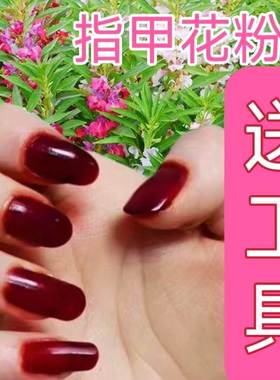 凤仙花粉植物晕染指甲花粉凤仙美甲红色指甲草粉女鲜染印度海娜指