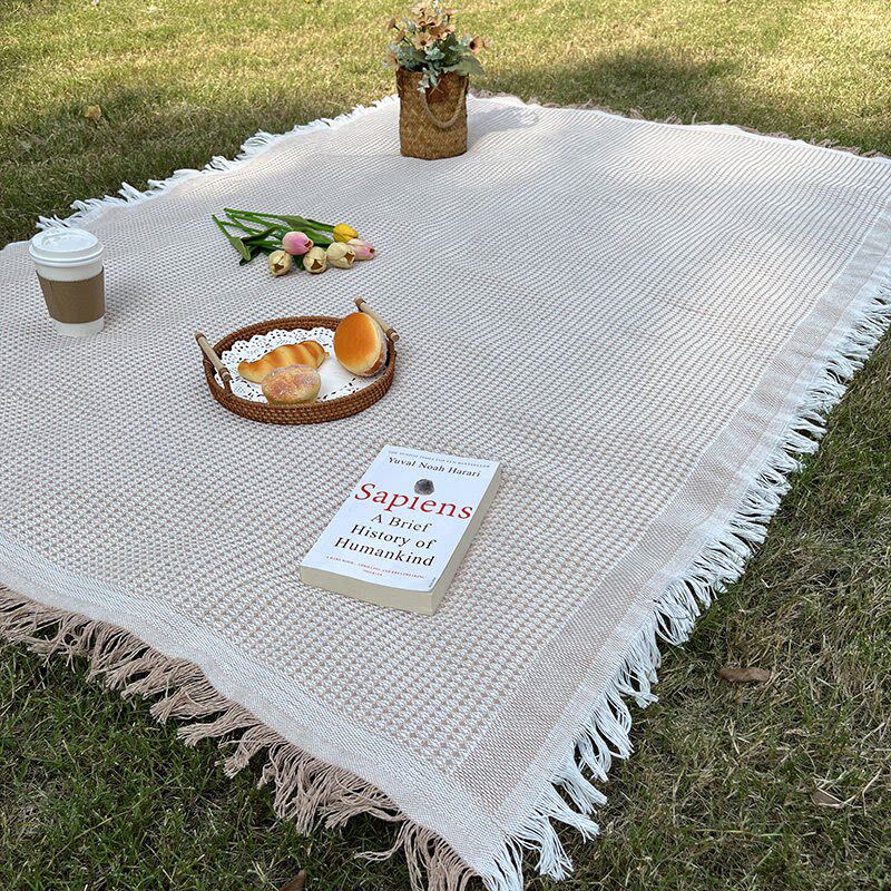 野餐垫法式文艺ins户外露营通用加厚双面野餐布桌布网红拍照垫子