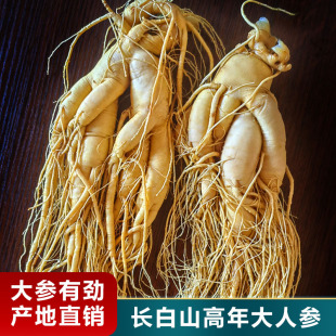 人参长白山正宗泡酒专用大参东北特产吉林整支鲜参煲汤保鲜参包邮