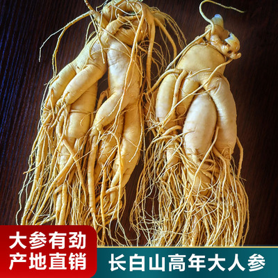 滋补养生人参专用东北特产泡酒料