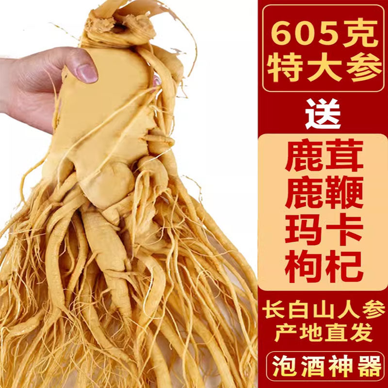 长白山正宗鲜人参煲汤泡酒滋补养生专用品质大参东北特产吉林园参