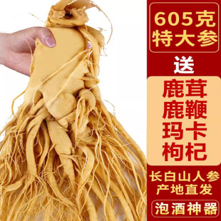 长白山正宗鲜人参煲汤泡酒滋补养生专用品质大参东北特产吉林园参