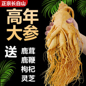 正宗长白山人参 保鲜参泡酒鲜人参东北特产高品质煲汤滋补佳品
