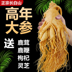 【正宗长白山人参】保鲜参泡酒鲜人参东北特产高品质煲汤滋补佳品