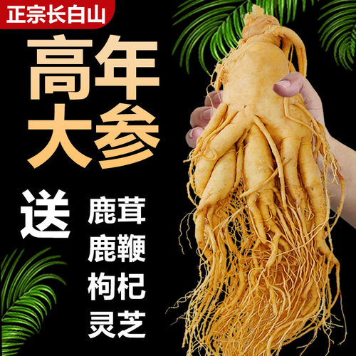 【正宗长白山人参】保鲜参泡酒鲜人参东北特产高品质煲汤滋补佳品