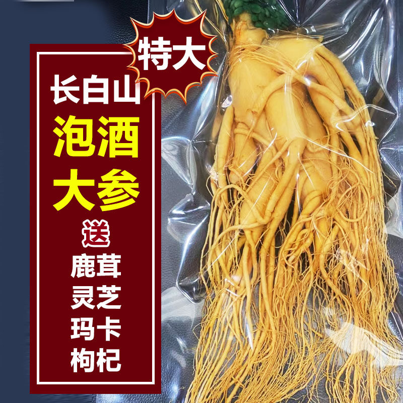 长白山整枝鲜人参煲汤泡酒专用人参正宗东北特产吉林特大园参鲜参