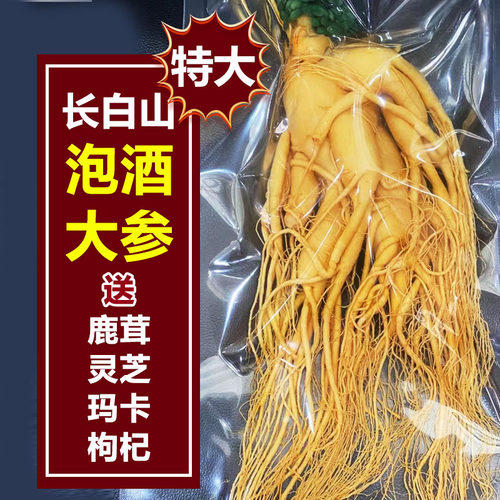 长白山整枝鲜人参煲汤泡酒专用参