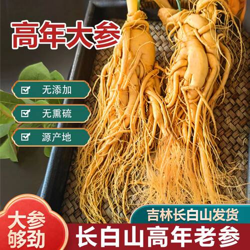 长白山鲜人参泡酒专用鲜人参园参