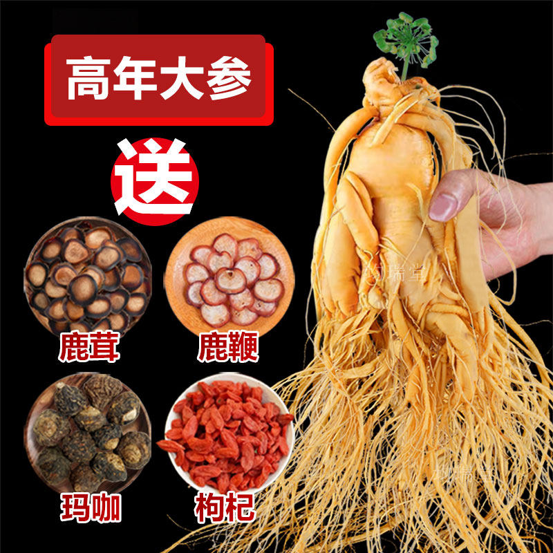 长白山人参正宗东北特产吉林人参煲汤泡酒专用鲜人参高品质特大参