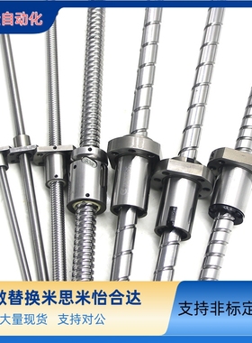 滚珠丝杆LCV LCS02 07 31 47 49 55 57-20-1020 25-5 25-05 25-25