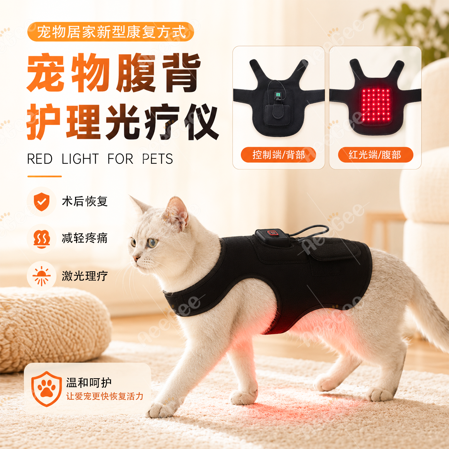 宠物红光线理疗狗狗髌骨腰椎骨折术后康复恢复关节猫咪红光灯腰带