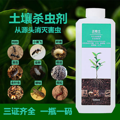 花盆有虫价格 花盆有虫图片 星期三