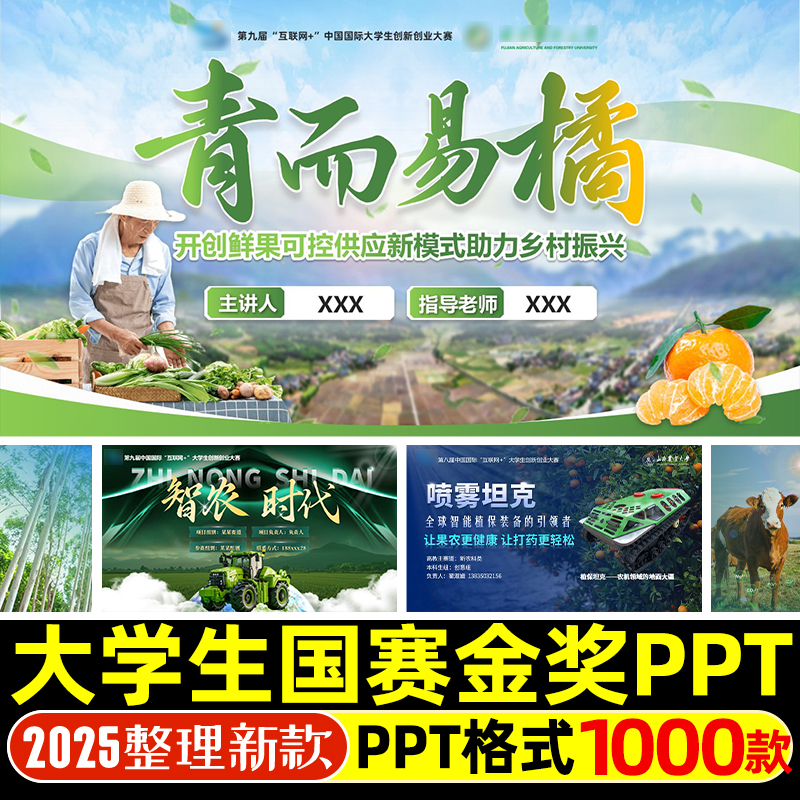 国赛金奖PPT模板乡村振兴非遗文化智慧医疗大学生创业大赛作品PPT