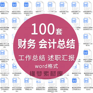 财务会计出纳年终个人工作汇报总结计划Word范文模板述职述廉报告