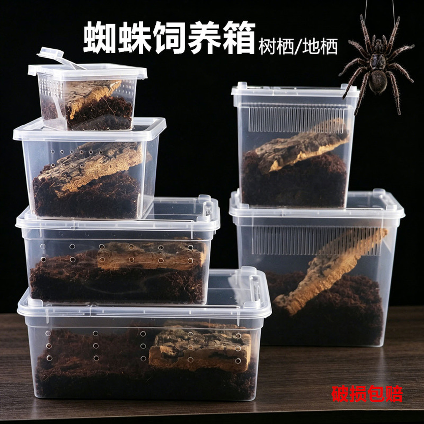 蜘蛛宠物饲养盒迷你运输盒塑料盒爬宠箱寄居蟹守宫异宠透气养殖箱
