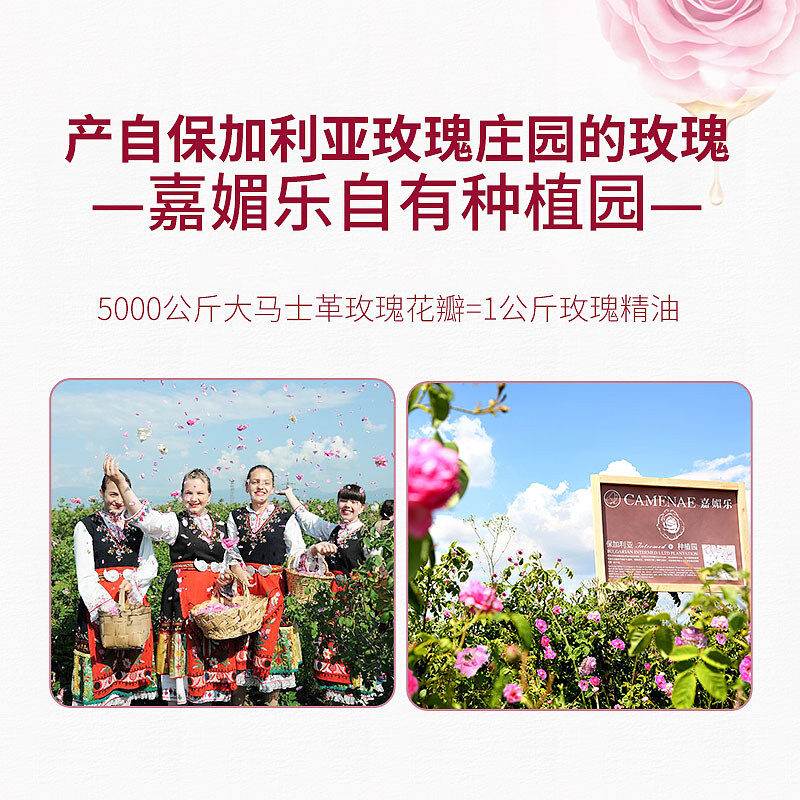 正品嘉媚乐玫瑰精油礼盒玫瑰植物单方提亮紧致嫩肤补水面部按摩香