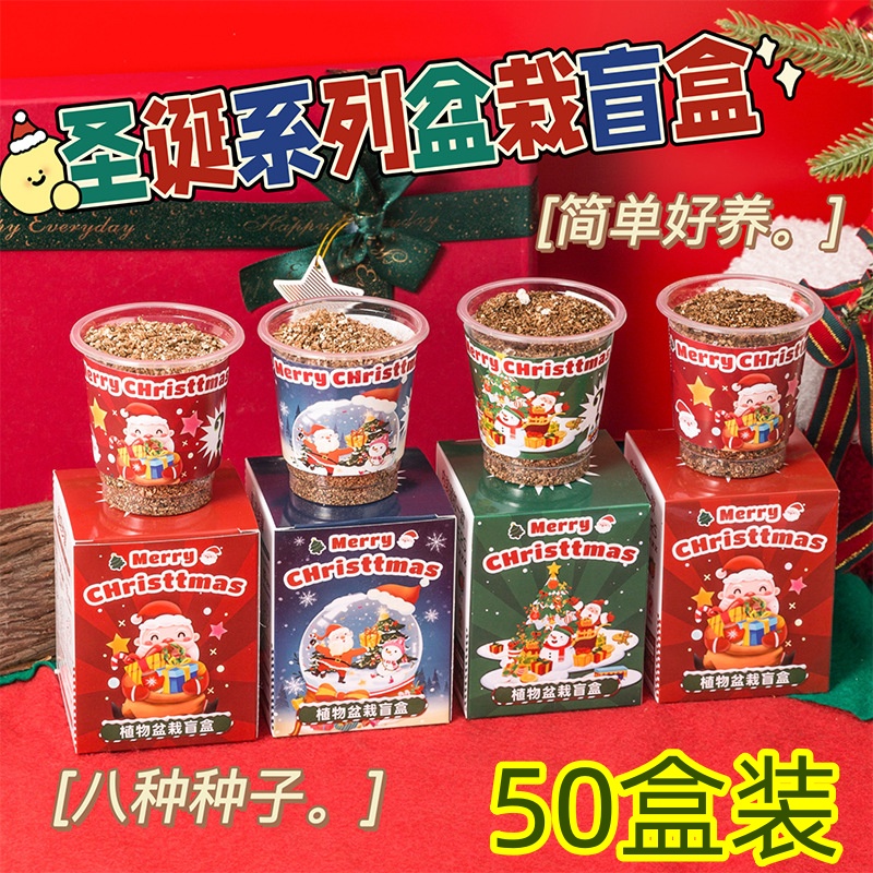 圣诞节礼物奖励小学生奖品儿童全班分享创意盲盒盆栽圣诞节伴手礼